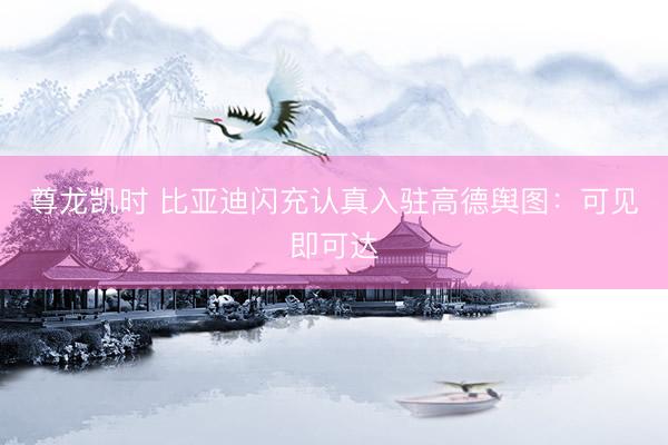 尊龙凯时 比亚迪闪充认真入驻高德舆图：可见即可达