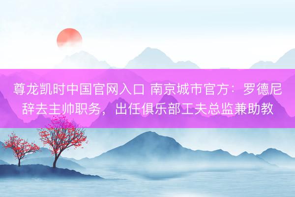 尊龙凯时中国官网入口 南京城市官方：罗德尼辞去主帅职务，出任俱乐部工夫总监兼助教