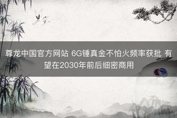 尊龙中国官方网站 6G锤真金不怕火频率获批 有望在2030年前后细密商用