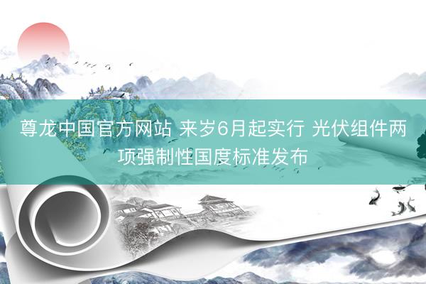 尊龙中国官方网站 来岁6月起实行 光伏组件两项强制性国度标准发布