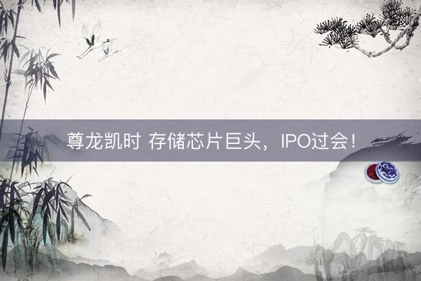 尊龙凯时 存储芯片巨头，IPO过会！