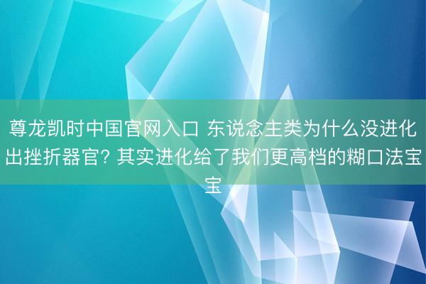 尊龙凯时中国官网入口 东说念主类为什么没进化出挫折器官? 其实进化给了我们更高档的糊口法宝