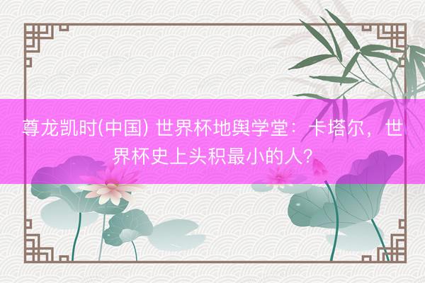 尊龙凯时(中国) 世界杯地舆学堂：卡塔尔，世界杯史上头积最小的人？