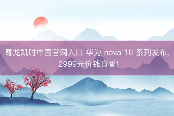尊龙凯时中国官网入口 华为 nova 16 系列发布， 2999元价钱真香!