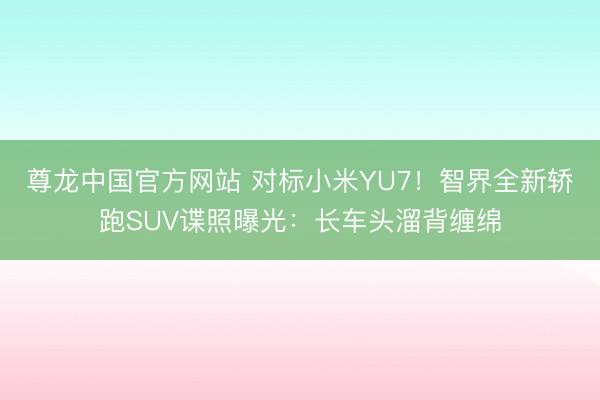 尊龙中国官方网站 对标小米YU7！智界全新轿跑SUV谍照曝光：长车头溜背缠绵