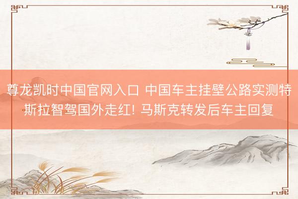 尊龙凯时中国官网入口 中国车主挂壁公路实测特斯拉智驾国外走红! 马斯克转发后车主回复