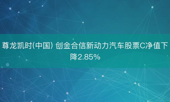 尊龙凯时(中国) 创金合信新动力汽车股票C净值下降2.85%