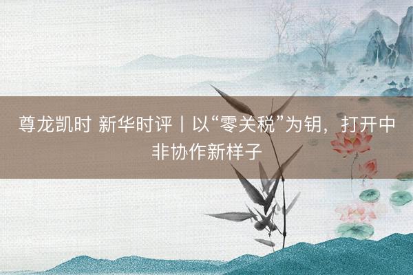 尊龙凯时 新华时评丨以“零关税”为钥，打开中非协作新样子