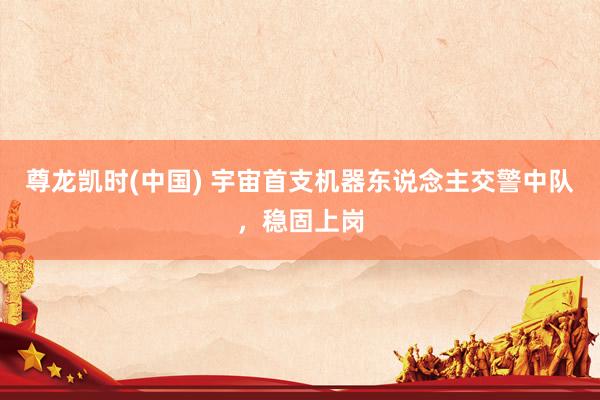 尊龙凯时(中国) 宇宙首支机器东说念主交警中队，稳固上岗