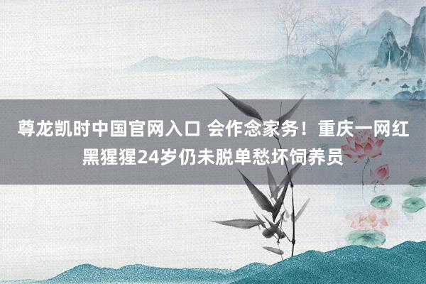 尊龙凯时中国官网入口 会作念家务！重庆一网红黑猩猩24岁仍未脱单愁坏饲养员